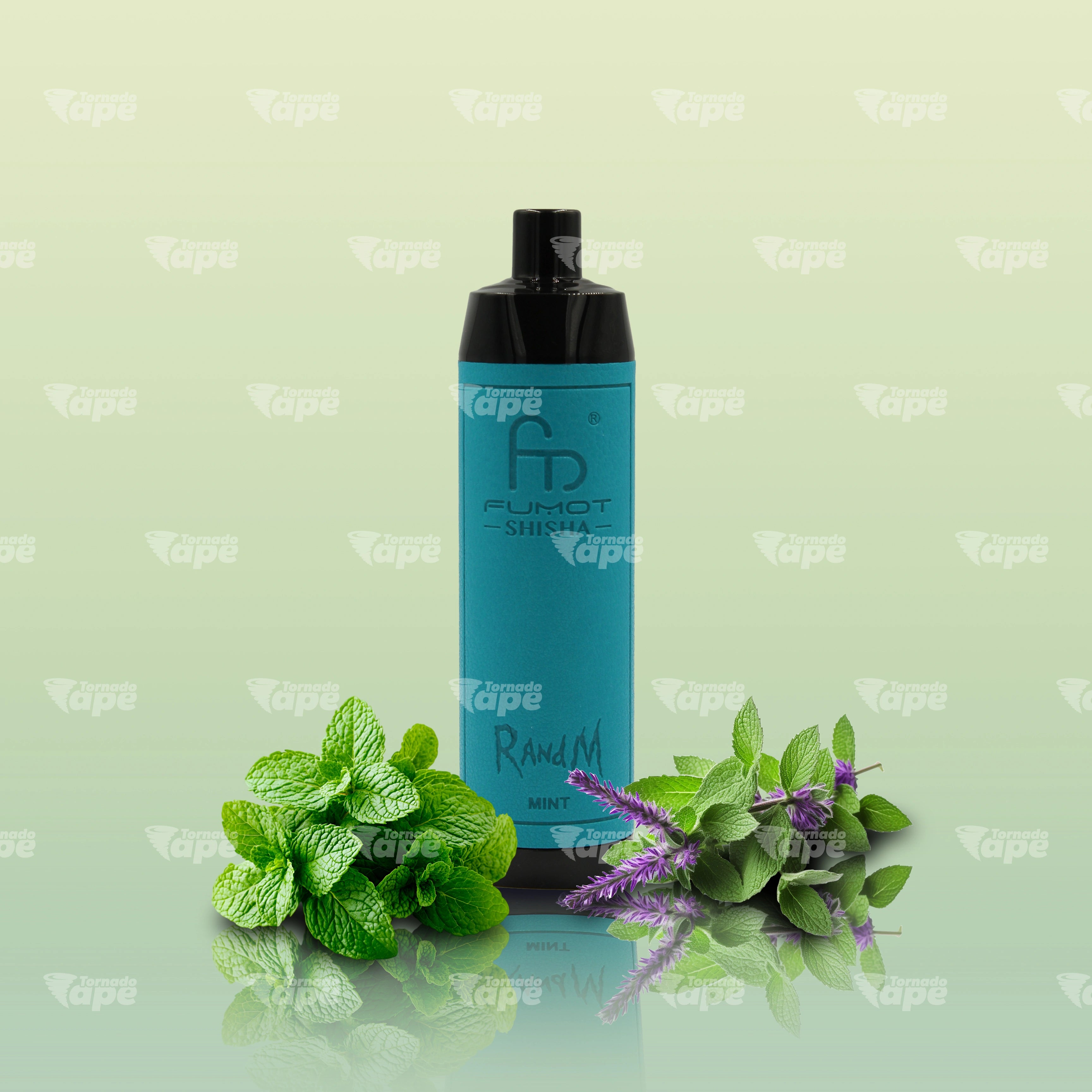 RandM Vape Tornado 10000 Mint Einweg E-Zigarette