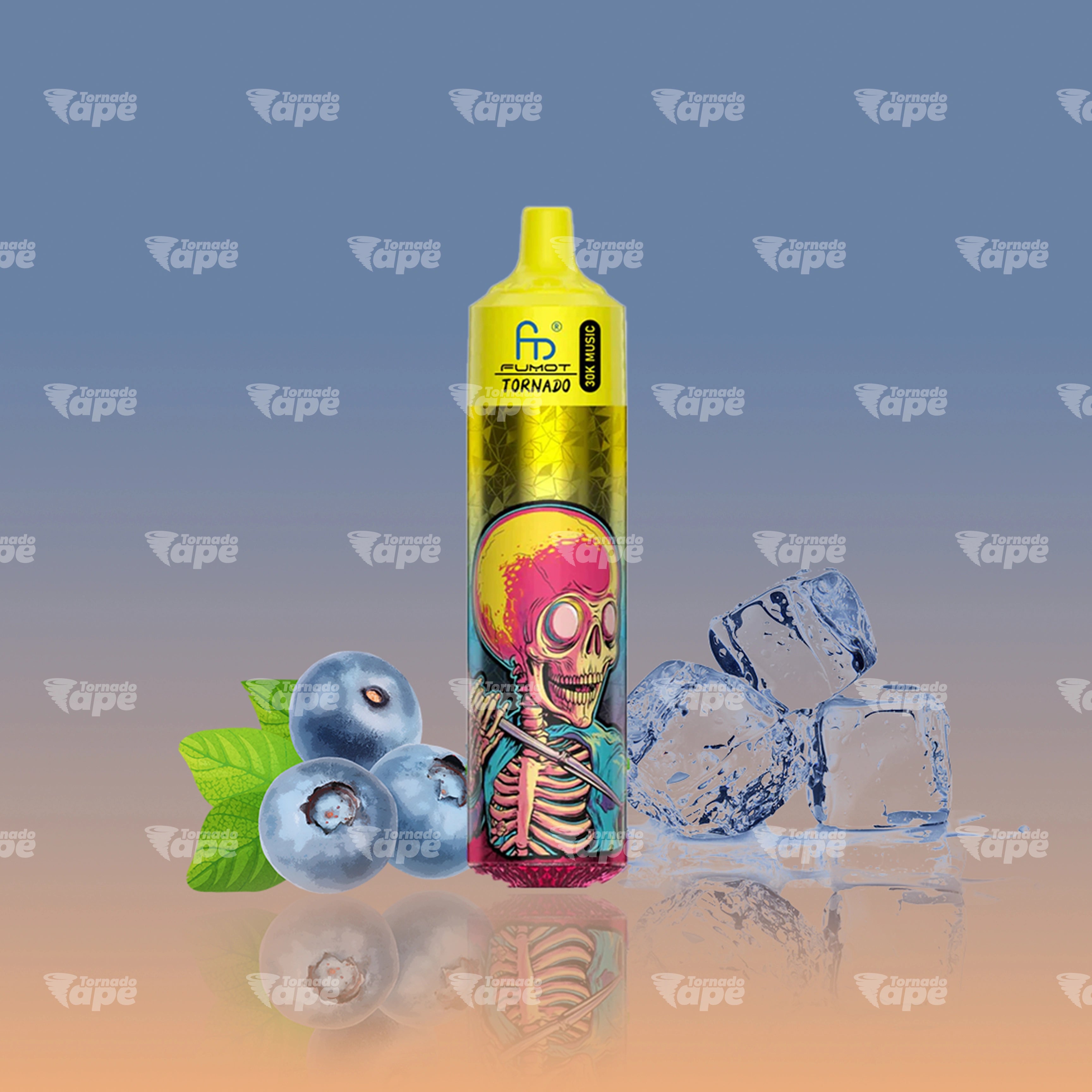 RandM Vape 30000 Blueberry on Ice