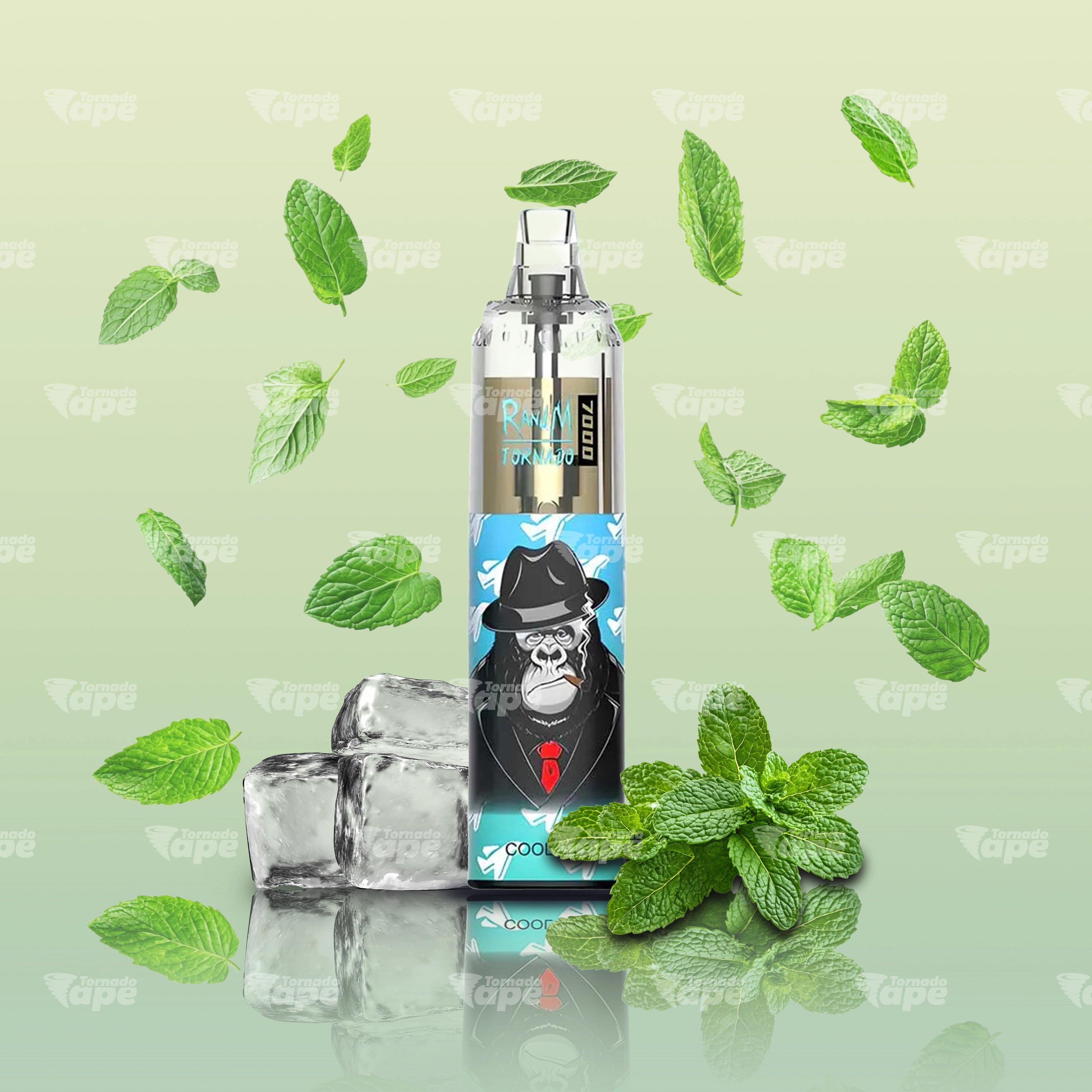 RandM Vape Tornado 7000 Cool Mint Einweg E-Zigarette